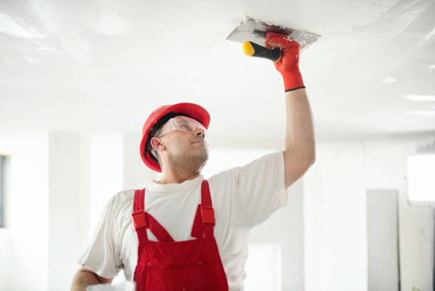 Best Ceiling Drywall Installation  in Schler Park, IL